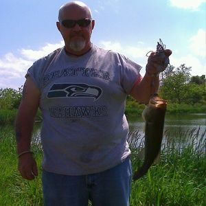 Meet your Posher, Donald